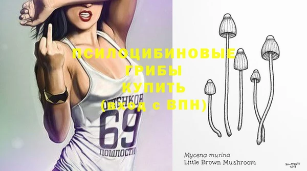 таблы Алзамай