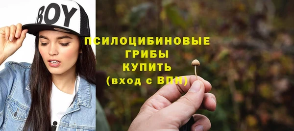 таблы Алзамай