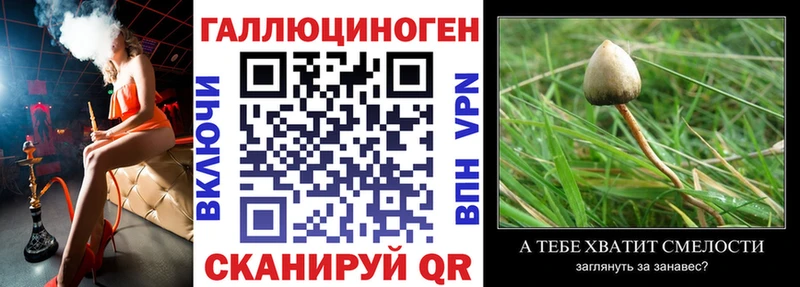 Купить где  Оренбург  Галлюциногенные грибы мухоморы 